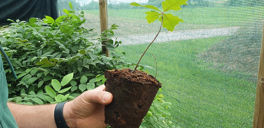 Töpfe, die verrotten und (fast) torffreie Erde gehören zum Naturverständnis von Lars Kasper. © GartenRadio.fm