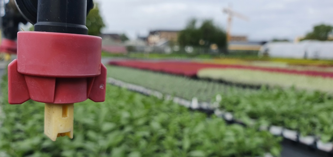 Die Pflanzen im Außenbereich der Alexianer Klostergärtnerei brauchen wenig Energie, sie werden nur ab und zu gewässert. © GartenRadio.fm