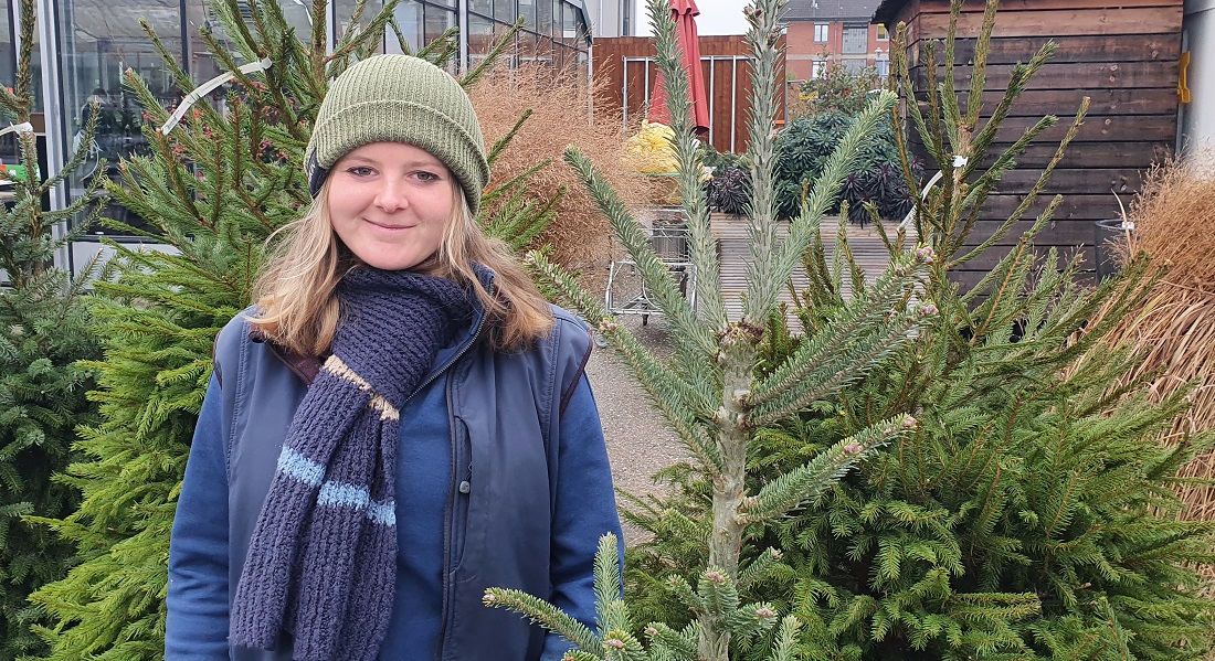 Sandra Wattler kommt privat ganz ohne Weihnachtsbaum aus. © GartenRadio.fm