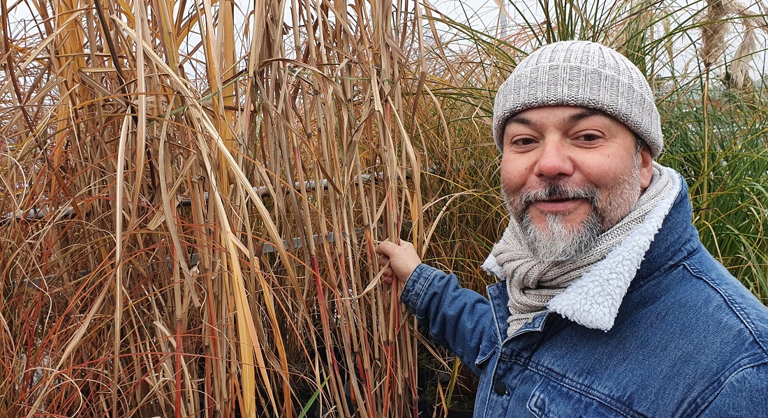 Wer Prärie-Charakter mag, könnte sogar ein Gras als Wegbegleiter pflanzen, meint Gärtner Janek Weber. © GartenRadio.fm