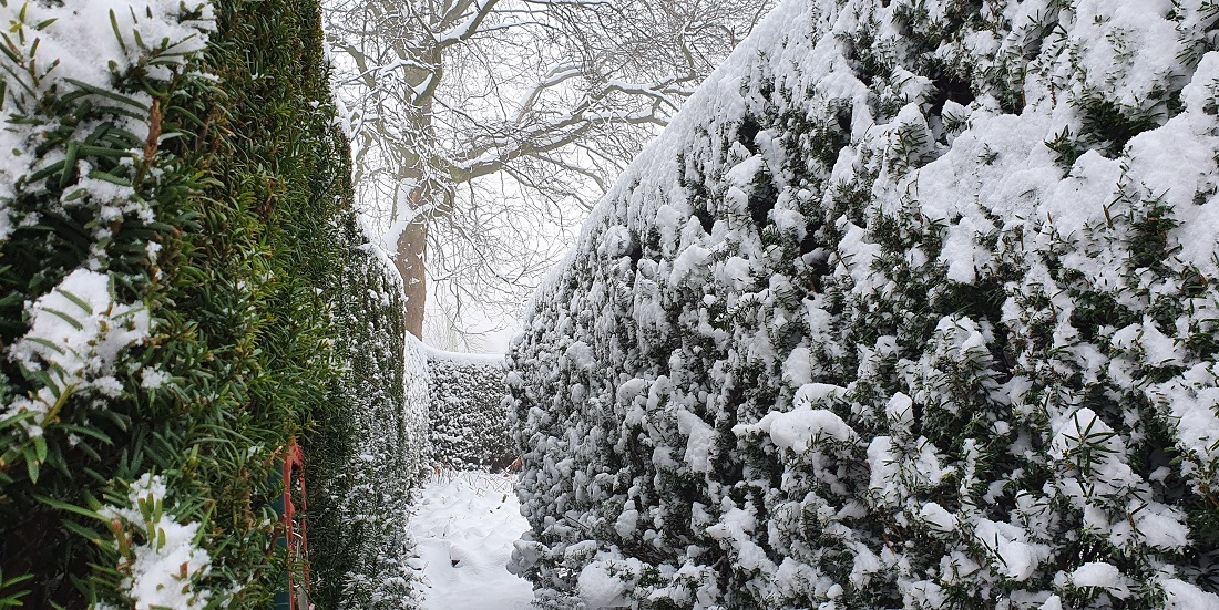 Eingang zu ihrem Privat-Garten, der den Namen "Garten der langen Vorfreude"  trägt, weil sie ein Jahr auf einen befreundeten Kollegen warten musste, bis der Garten gebaut werden konnte. © GartenRadio.fm