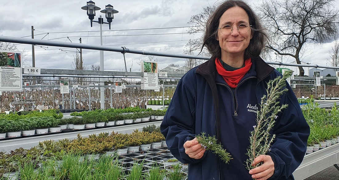 Gärtnermeisterin Dagmar Hauke mit kriechendem Rosmarin (li.) und Veitshöchheimer Rosmarin (re.)  © GartenRadio.fm