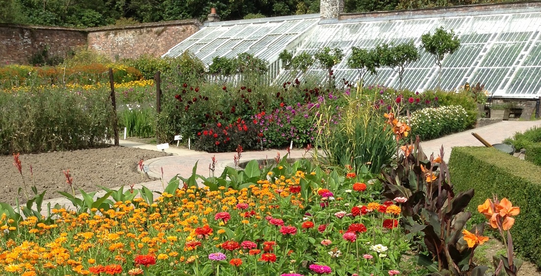 So sehen die Lost Gardens of Heligan heute aus. Das Titelbild zeigt, wie der Garten vor der Restaurierung Anfang der 90iger Jahre aussah. © Antje Peters-Reimann