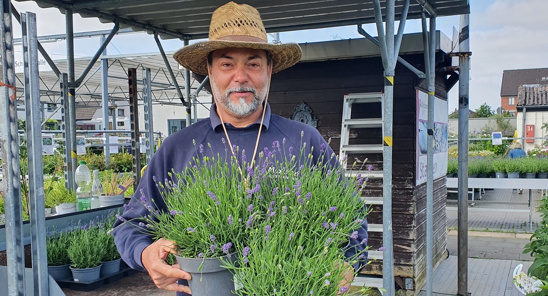 Gärtner Janek Weber schätzt Lavendel auch in der Küche. © GartenRadio.fm