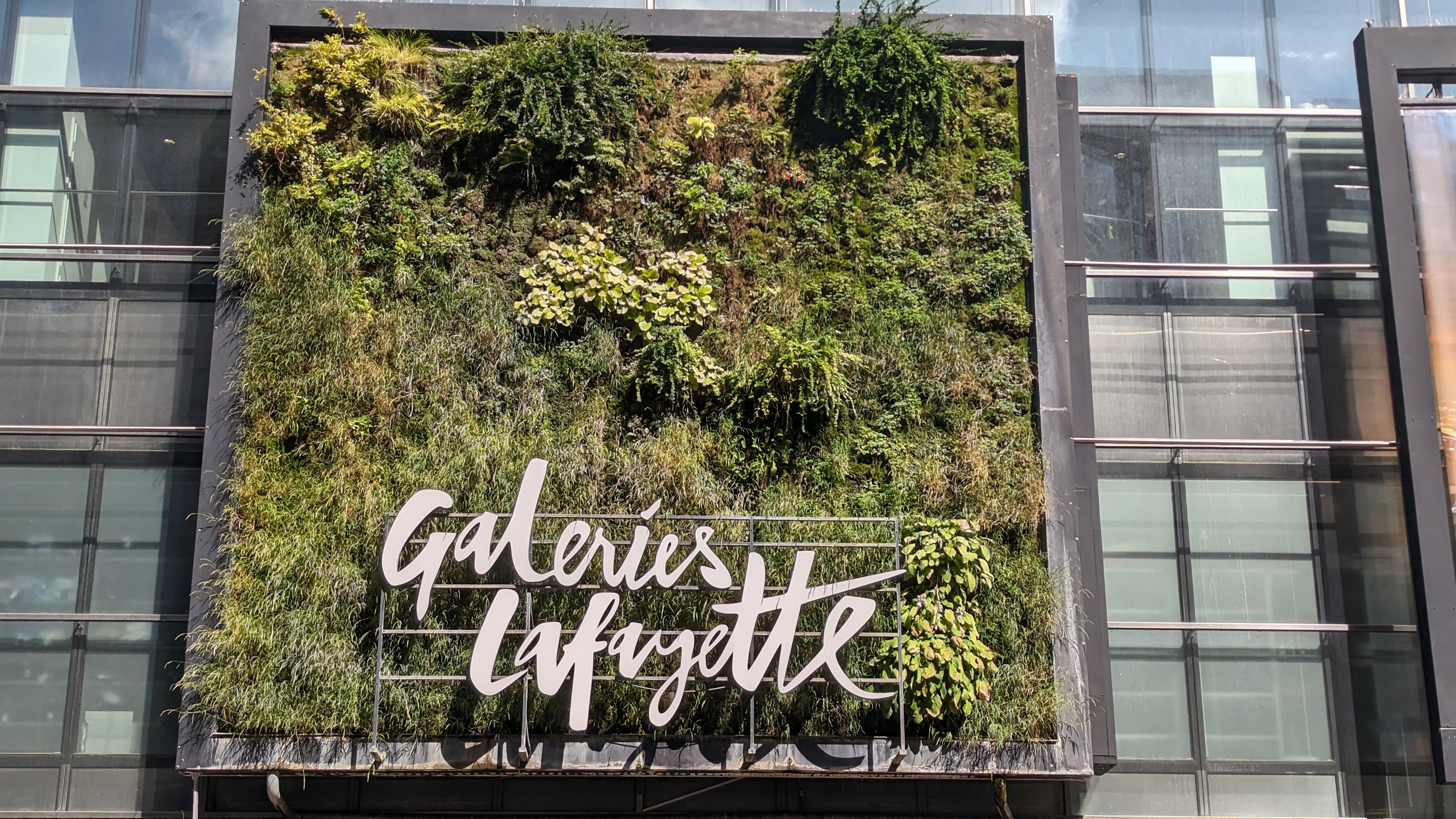 Patrick Blanc hat die Außenfassade des Luxuskaufhaus Galeries Lafayette in Berlin begrünt. Die Fachleute nennen das "Wandgebundene Begrünung". © GartenRadio.fm