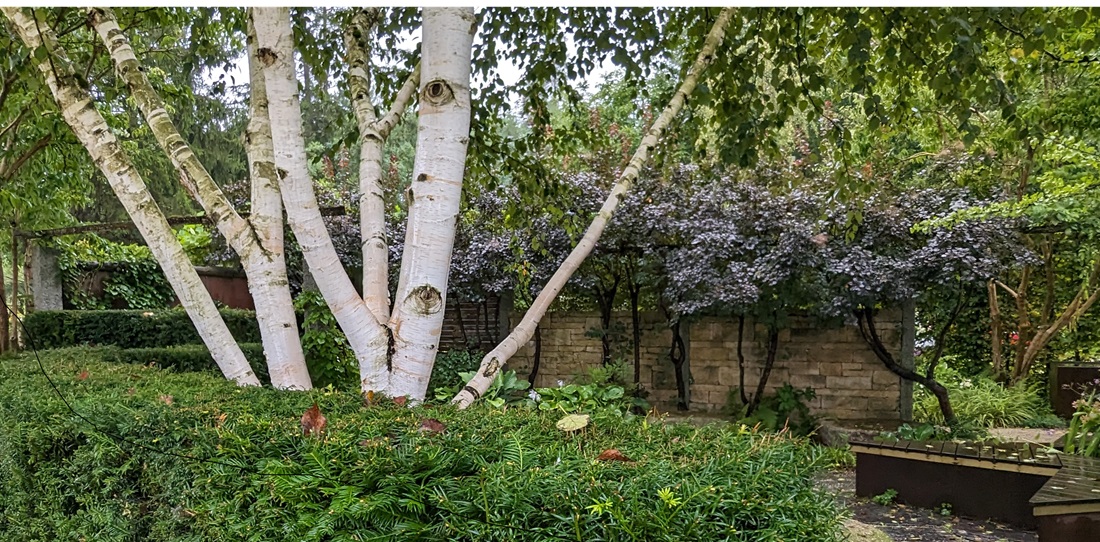 Zum Museum für Gartenkultur gehören lebendige Gartenkabinette. © GartenRadio.fm