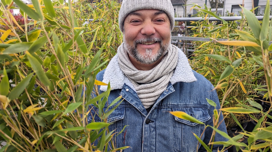 Gärtner Janek Weber verkauft in der Alexianer Klostergärtnerei nur noch die horstig wachsenenden Fargesia-Arten.  © GartenRadio.fm