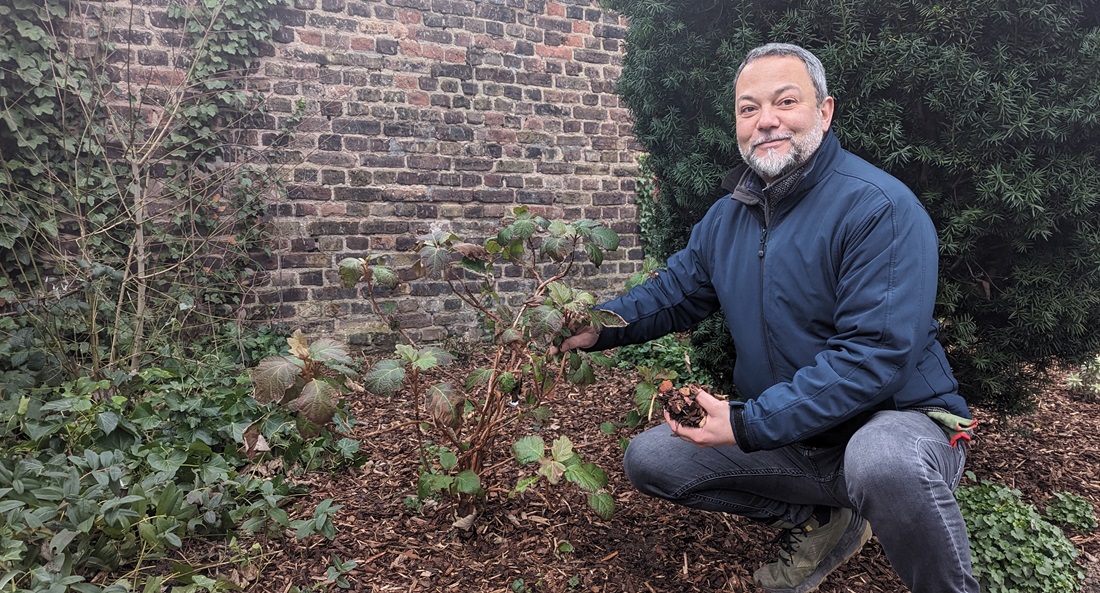 Wenn neue Stauden oder Gehölze noch zusammenwachsen müssen, schützt Rindenmulch vor unerwünschtem Beikraut. © GartenRadio.fm