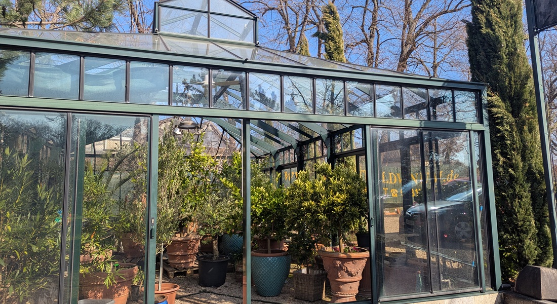 So geht es auch. Prachtvoll lassen sich so Zitruspflanzen überwintern. © GartenRadio.fm
