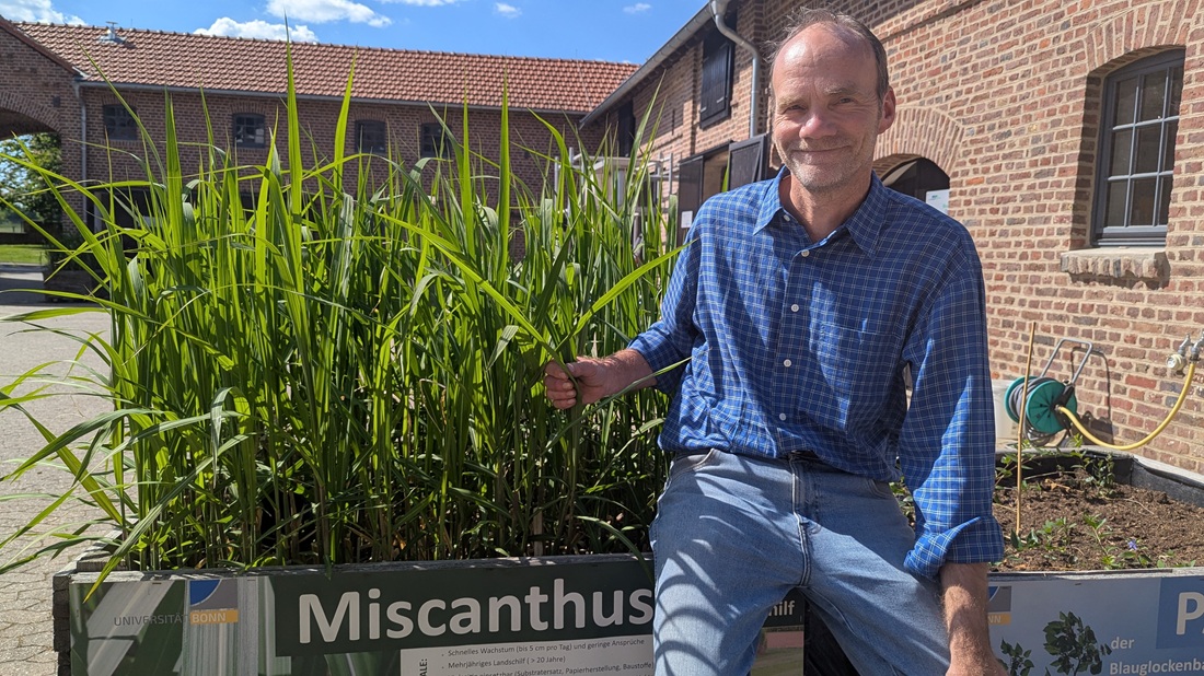Prof. Ralf Pude neben Miscanthus giganteus, dem mehrjährigen Chinaschilf.