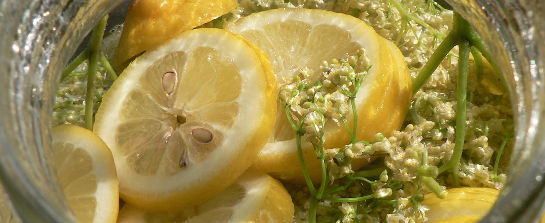 Holunderblütensirup angesetzt